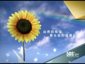 北京5ds五谛影视 数字艺术教育行业先锋，赋能未来影视特效人才